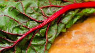 Hearty Red Kale