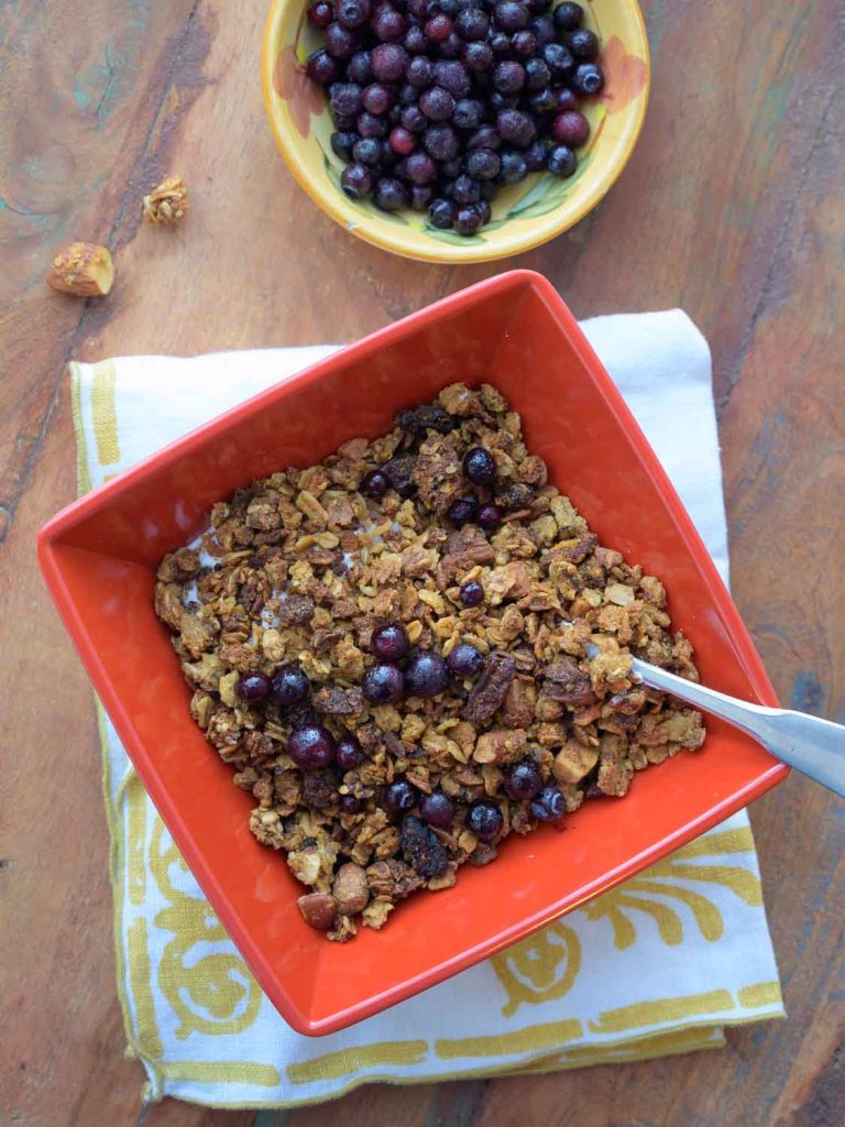 Bowl of Okara Breakfast Granola with Greek Yogurt and Blueberries